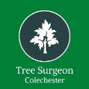 Tree Surgeon Colchester logo